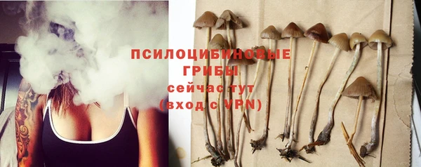 скорость Белокуриха