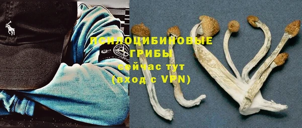 скорость Белокуриха
