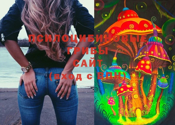 скорость Белокуриха