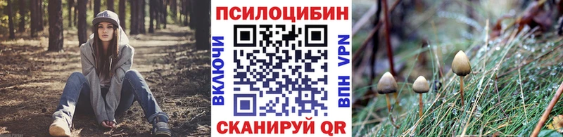 Псилоцибиновые грибы Psilocybe  Купить где  Кудымкар 